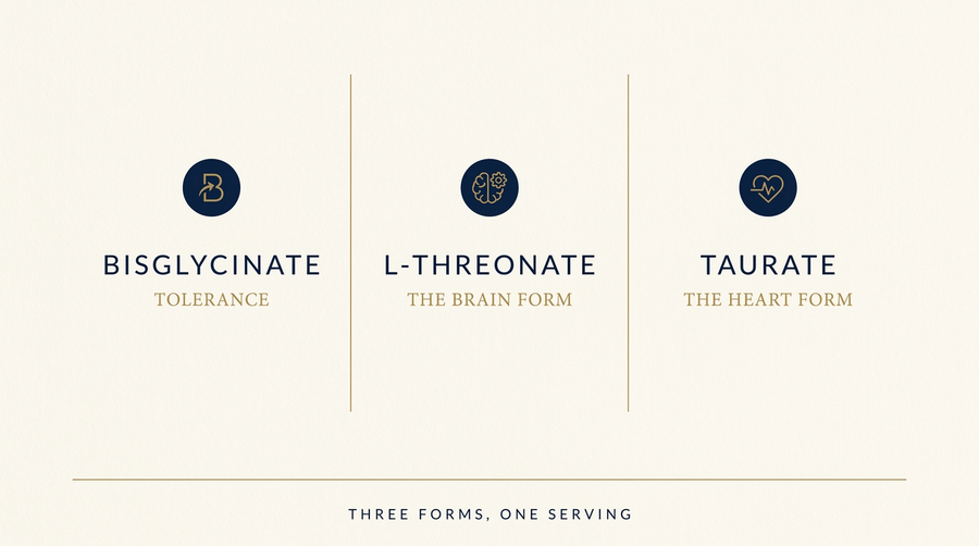 The three magnesium forms